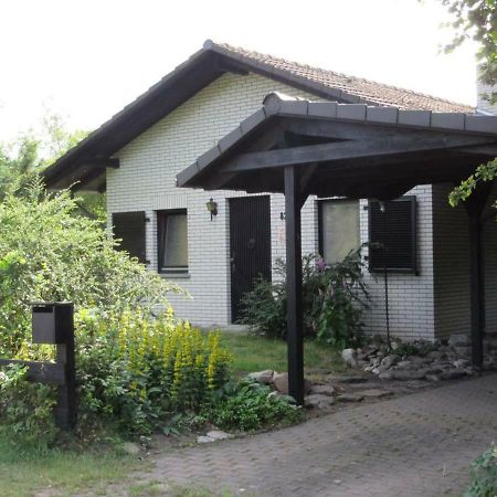 Ferienhaus Uchte / Darlaten Villa Ngoại thất bức ảnh