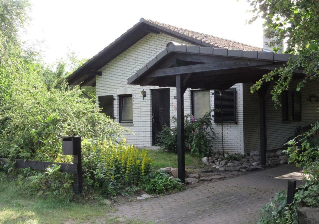 Ferienhaus Uchte / Darlaten Villa Ngoại thất bức ảnh