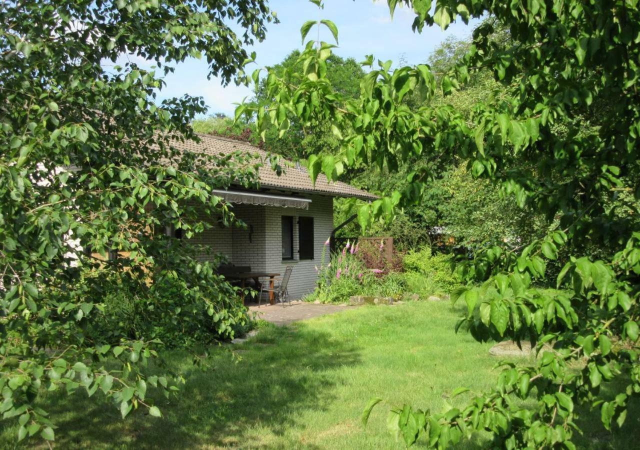 Ferienhaus Uchte / Darlaten Villa Ngoại thất bức ảnh